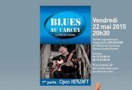 Lire cette annonce